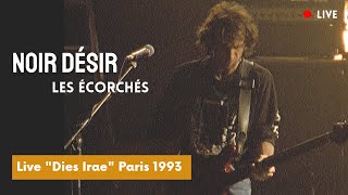 Noir Désir  Les écorchés Live officiel « Dies Irae » Paris 1993 [upl. by Ardnohsal]