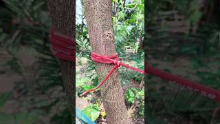 Simple rope knot obstacle technique with tree [upl. by Tavy]