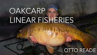 Linear Fisheries   Oxlease  OAKCARP [upl. by Ellehc]