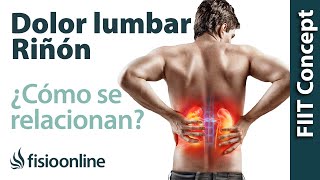 Riñón y dolor de espalda en la zona lumbar  ¿Cómo se relacionan [upl. by Airtemad241]