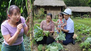 quotThe Crazy Witch Destroys The Vegetable Garden Husband Decides To Protect His Wife To The Endquot [upl. by Ron45]