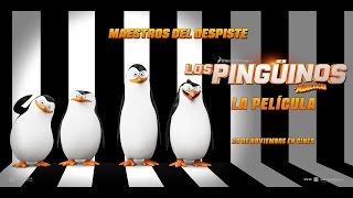 DESCARGAR PELICULA LOS PINGUINOS DE MADAGASCAR ESPAÑOL LATINO FULLHD POR MEDIAFIRE [upl. by Onimod89]