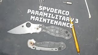 SPYDERCO Paramilitary 3 Teardown Maintenance and Rebuild [upl. by Clarice]