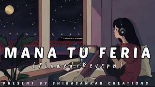 Mana Tu Feria Lofi Song slowed  reverb  Odia Lofi  Humane Sagar  Odia Lofi Song [upl. by Zoltai785]