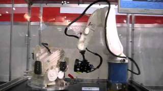 High Speed Vision Inspection with Denso 6Axis Articulated Robot [upl. by Seleta524]