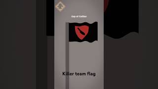 Wave flag  team killer [upl. by Noonan]