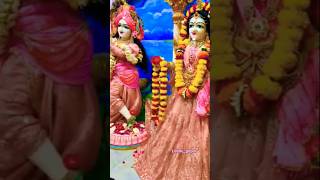 Tan Man Dhan Sab Hai TeraMukeshManchaliKrishna Bhajan YTSHORTSSHORTS Short [upl. by Lauer]