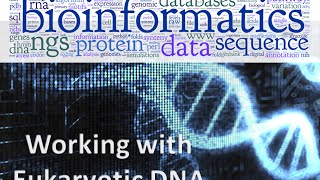 Bioinformatics lecture 9 working with eukaryotic DNA practical bioinformatics [upl. by Payne]