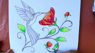 Beautiful flower drawing with pencil colour [upl. by Adelaide]