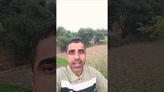 Voice over ampik pardesi tera dil legya fojivijaysingh66520 [upl. by Annairol]