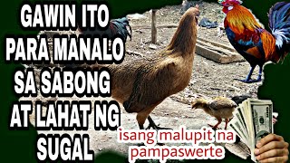 Gawin ito upang manalo sa Sabong at lahat nh klase ng sugal [upl. by Angelica]