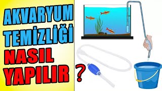 AKVARYUM TEMİZLİĞİ NASIL YAPILIR  Akvaryum Temizleme  Akvaryum Kurulumu [upl. by Nobe]