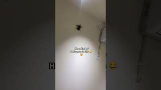 Elicopter Elicopter 🗣️😂  helicopter funny shorts [upl. by Atirahc306]