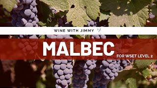 Grape Varieties  Malbec Intermediate Version for WSET Level 2 Wine [upl. by Ocire]