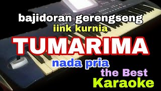 tumarima iink kurnia karaoke nada pria [upl. by Allesor]