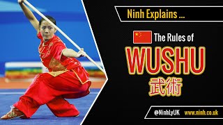 The Rules of Wushu Chinese Kung Fu  EXPLAINED [upl. by Lilli500]