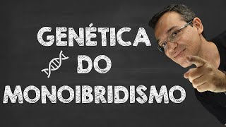 GENÉTICA DO MONOIBRIDISMO  COM EXERCÍCIOS RESOLVIDOS [upl. by Edlun]