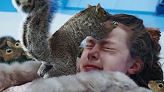 Squirrel Attack  Charlie and the Chocolate Factory [upl. by Aneehsyt38]