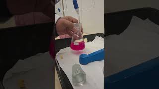 simple titration in the lab [upl. by Enniroc524]