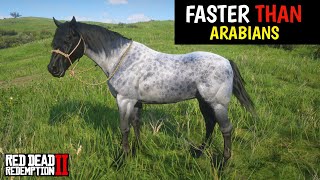 4 Horses faster than Arabains amp How to obtain them  Red Dead Redemption 2 [upl. by Noirred]