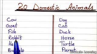 20 Domestic Animal  Pet Animals Name  Domestic Animals Name in English [upl. by Darice522]