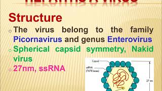 6 Parainfluenza HAV viruses [upl. by Notnad747]