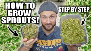 How To Grow Sprouts amp Why They Are AMAZING 🌱 [upl. by Thorin99]