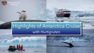 Highlights of Antarctica Cruise with Hurtigruten HX Expeditions 4K [upl. by Violante]