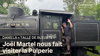 Dans la talle de bleuets de Joël Martel [upl. by Cadmann]