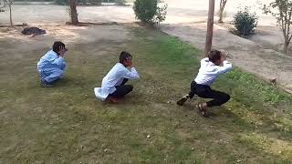 Rabbit Race Class Activity in School [upl. by Simaj829]