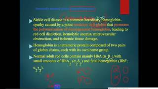 pathology  dr Tahseen  Hemolytic Anemia 1 [upl. by Arten743]