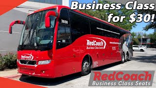 Redcoach Luxury Bus Travel For The Budgetminded [upl. by Aytac]