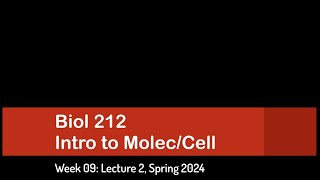 CSULB Spring 2024 Biol 212  Week 9 Lecture 2 [upl. by Annoirb]