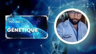 Génétique  Mitose de la cellule végétale شرح سريع للإنقسام الخلوي [upl. by Jake]