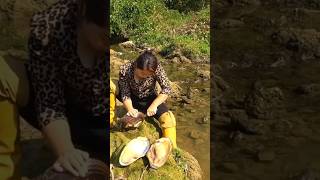 pearl a an oyster EP4 dimond pearlcultivation pearlstone pearlfarming [upl. by Cawley869]