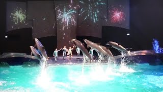 Dolfinarium Harderwijk  show Aqua Bella in 4K Ultra HD [upl. by Anear994]