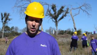 Community Tree Recovery Bastrop TX [upl. by Harty]