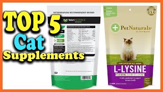 ✅Top 5 Best Cat Supplements of 2022 [upl. by Anilegna603]