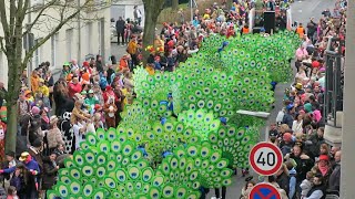 Karnevalszug Viersen Tulpensonntag 2023 Burgstraße Ausschnitte [upl. by Annaeoj55]