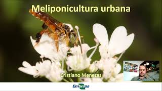 Meliponicultura urbana Introdução [upl. by Bertram542]