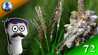 🍄USTILAGO LIFE CYCLE USTILAGO FUNGI ANIMATION USTILAGO BSC HINDI [upl. by Ahsitil434]