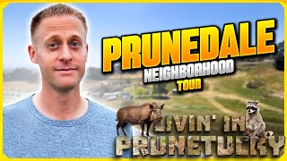 Prunedale Neighborhood Tour  Living in Prunetucky California [upl. by Falito161]