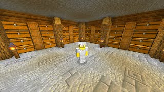 building my insane storage room EP8 [upl. by Chaddy]