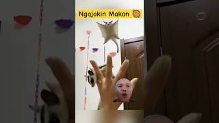 Ayuk ganteng terbang makan ⁉️ dubbing sugarglider comedy [upl. by Aloise]