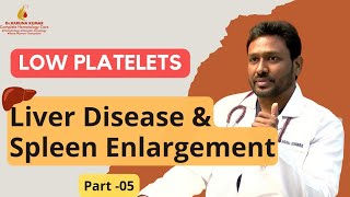 Why Low Platelets In Liver disease  Enlarged Spleen  కాలేయం మరియు ప్లీహము వ్యాధిలో [upl. by Chak]