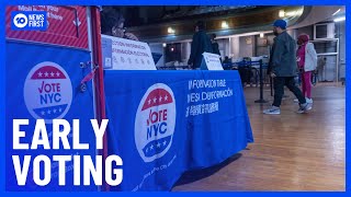 What Early Voting Numbers Tell Us About The American Election  10 News First [upl. by Nillok]