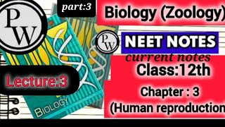 Class 12 Biology PW Class Notes 📝Zoology Chapter3Human reproductionLecture3 part 3video [upl. by Mowbray504]