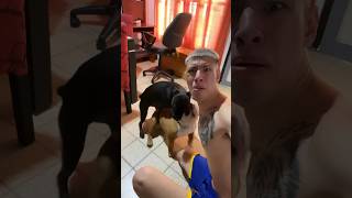 LA JLO 👩🏿‍🦱❤️ SE LO CUL A EL GORDO FALCIONI 🤦🏻‍♂️😠😂 argentina viral youtubeshorts [upl. by Ikkin]