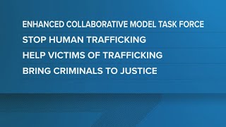 Frederick Co tackling human trafficking with new task force [upl. by Marolda]