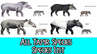 All Tapir Species  Species List [upl. by Nocaed]